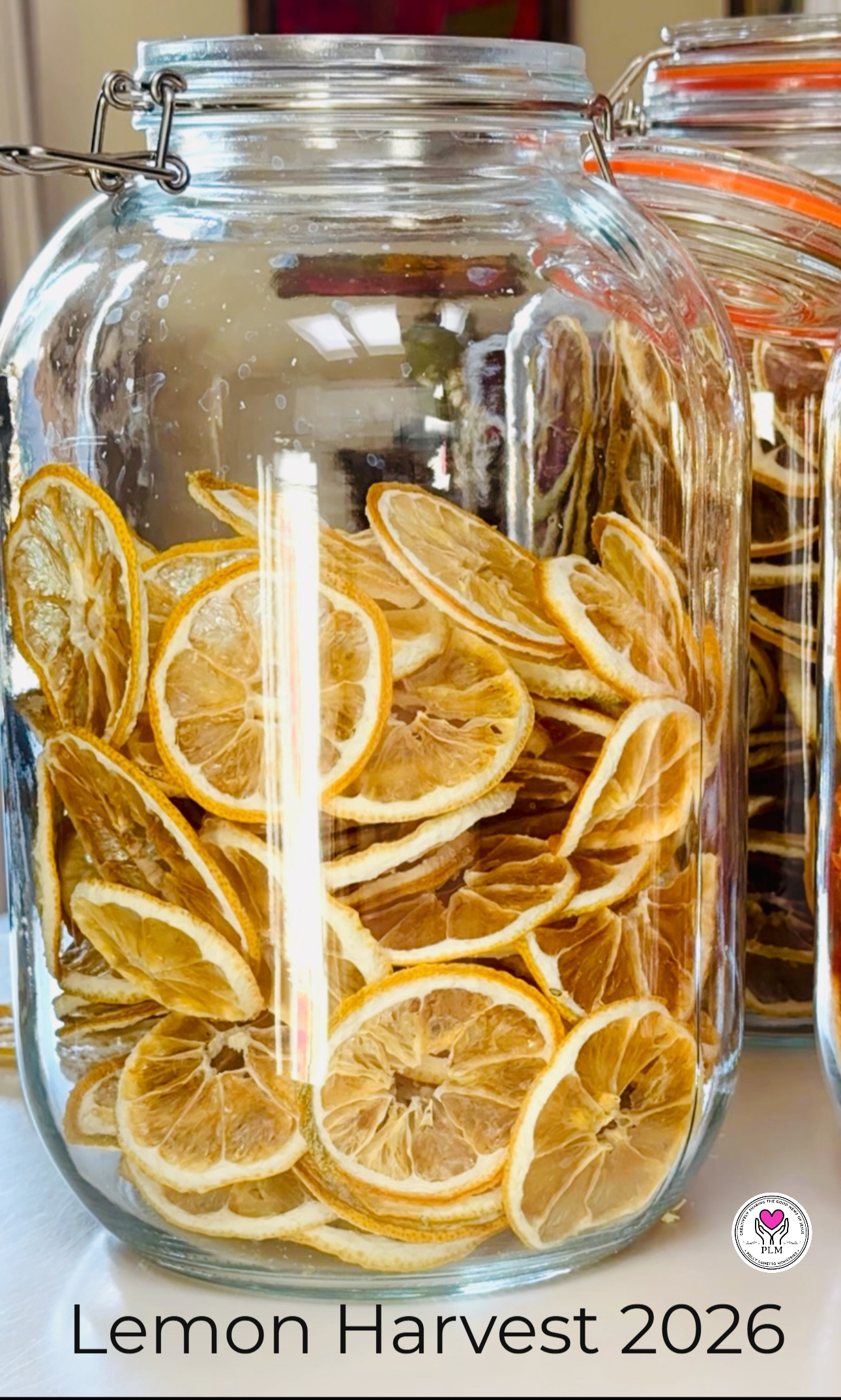 Lemon Harvest